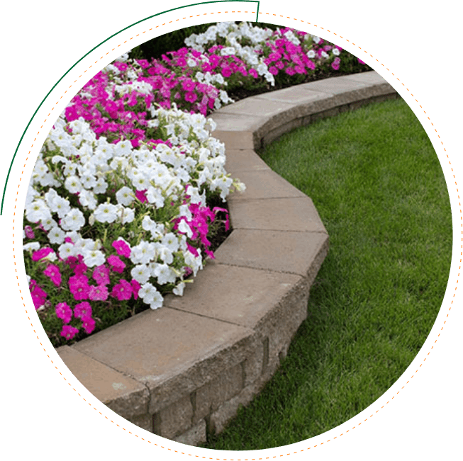 Pink and White Petunias