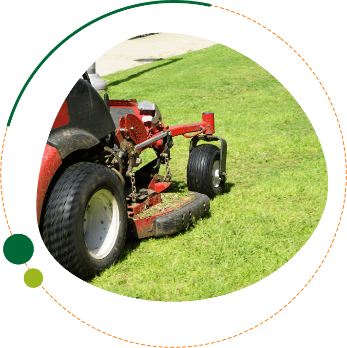 FL Landscape Co-HOA Lawn Care new construction landscape maintenance