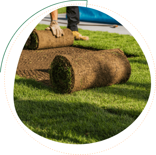 FL Landscape Co-Lawn Installation Florida lawn install
