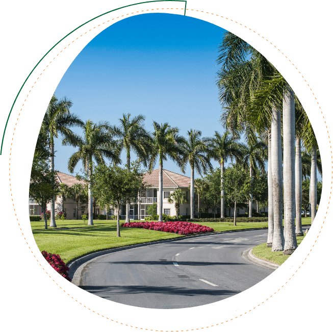 FL Landscape Co-Tree Services Florida tree installation