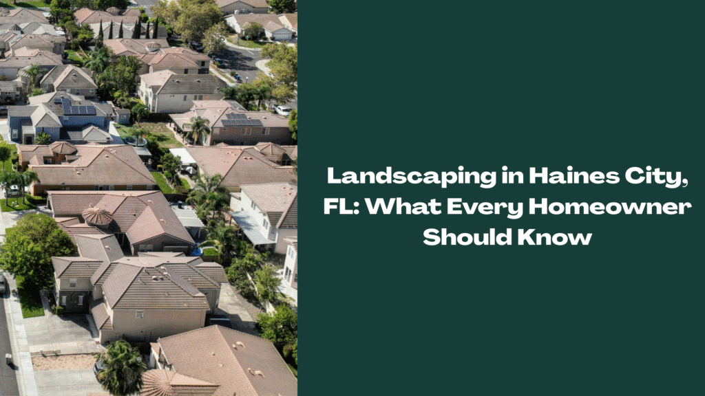 Aerial view of suburban homes in Haines City, Florida with palm trees and landscaped yards — representing residential landscaping in Central Florida.