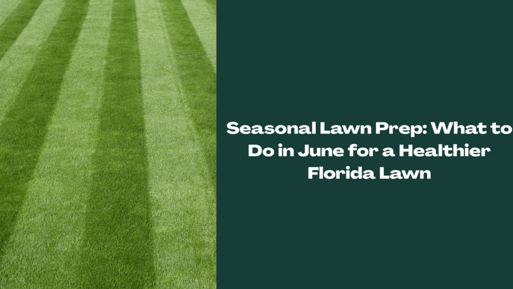 Freshly mowed Florida lawn with clean mowing stripes — representing proper seasonal lawn maintenance for June in Central Florida.