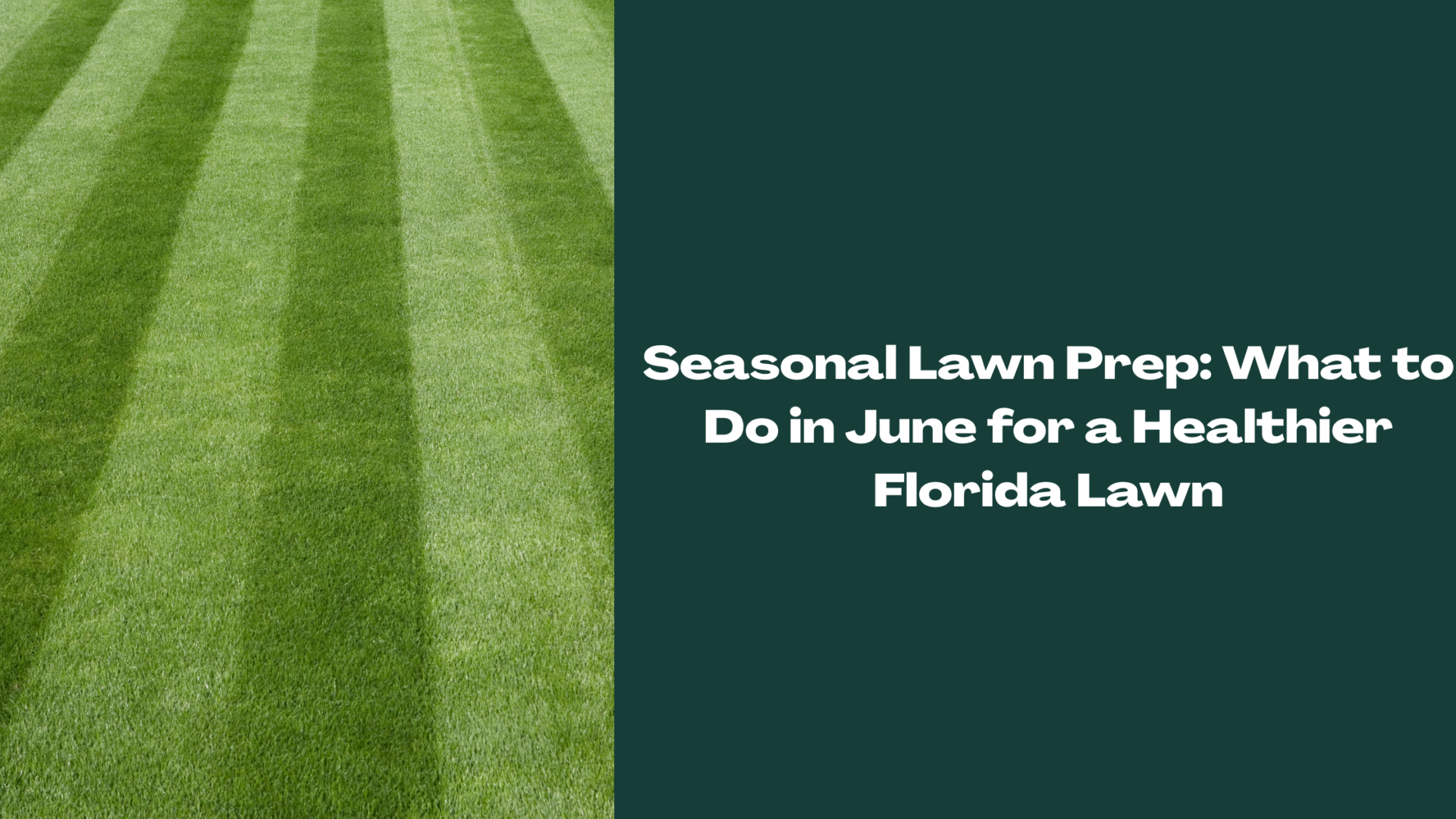 Freshly mowed Florida lawn with clean mowing stripes — representing proper seasonal lawn maintenance for June in Central Florida.