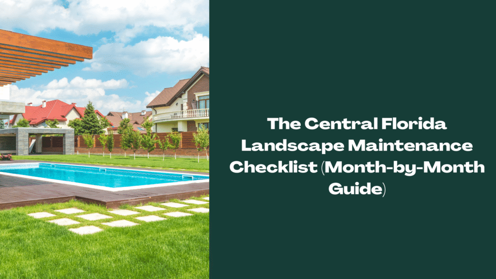 Modern backyard in Central Florida with neatly maintained lawn, pool, and landscaping — representing year-round landscape maintenance checklist.