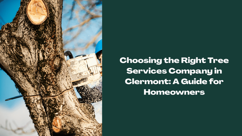 Arborist using a chainsaw to cut a tree branch during professional tree trimming in Clermont, Florida.