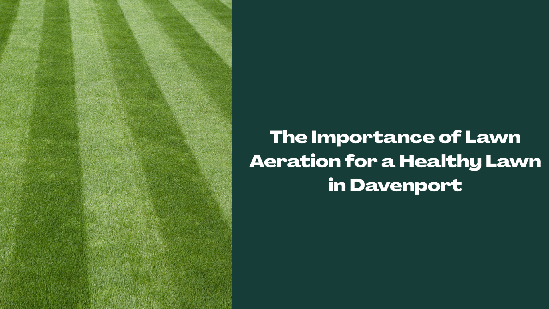 Image of a healthy lawn in Davenport, indicating Florida Landscape Co.'s professional lawn services.