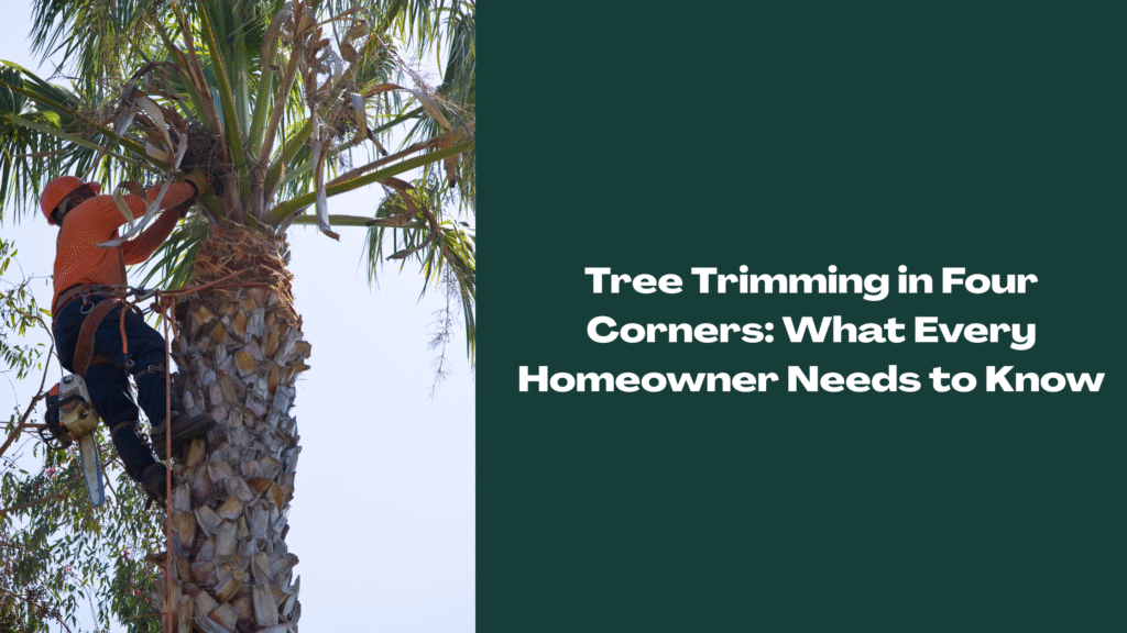 Arborist trimming a tall palm tree with a chainsaw in Four Corners, FL — showcasing professional tree services for residential landscaping.