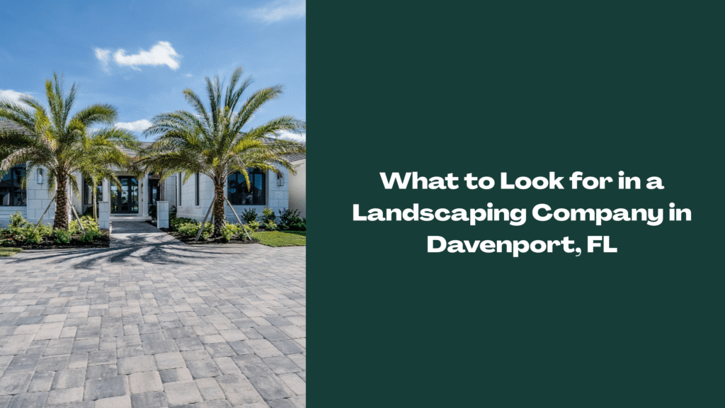 Modern Florida home with palm trees, fresh landscaping, and paver driveway — representing professional landscaping services in Davenport, FL.