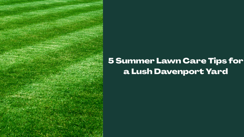 Image of freshly cut lawn in Davenport, Florida