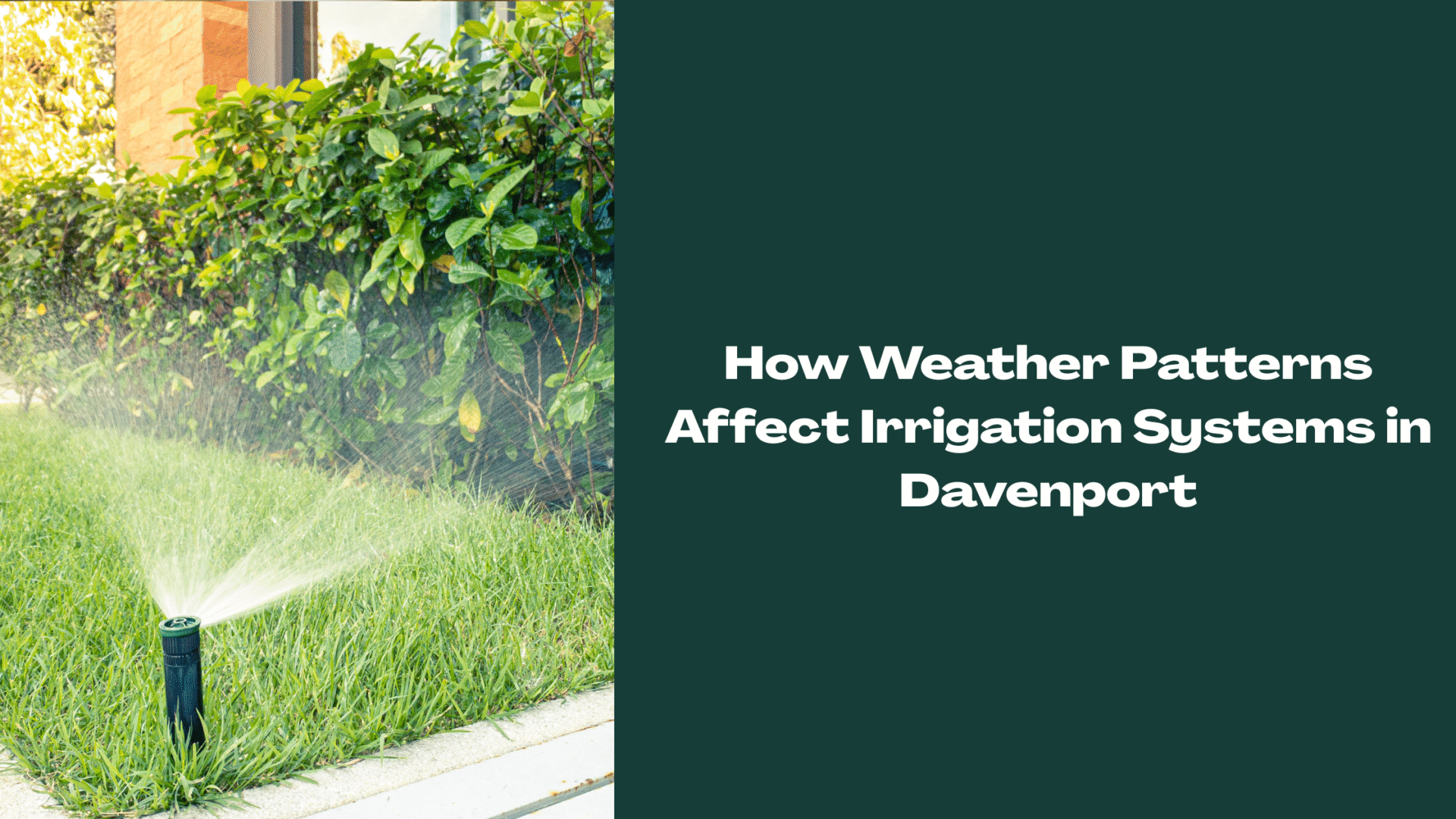 Lawn sprinkler in operation on a sunny day in Davenport, FL—highlighting how changing weather patterns impact irrigation system efficiency and watering schedules.