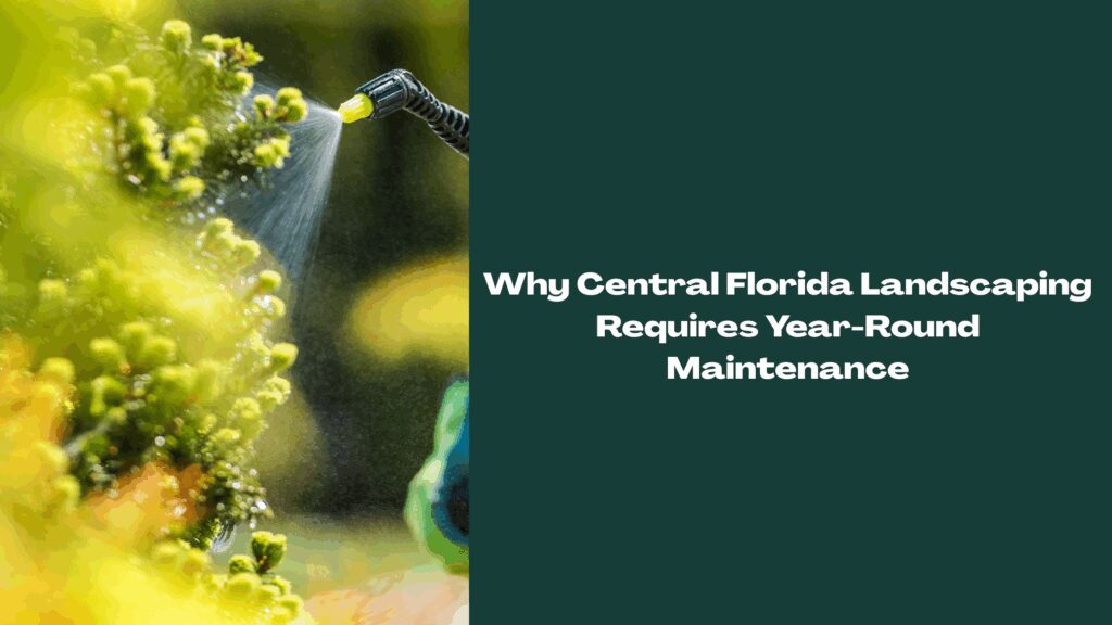 Lush Central Florida community landscape with trimmed lawns and palm trees maintained year-round.