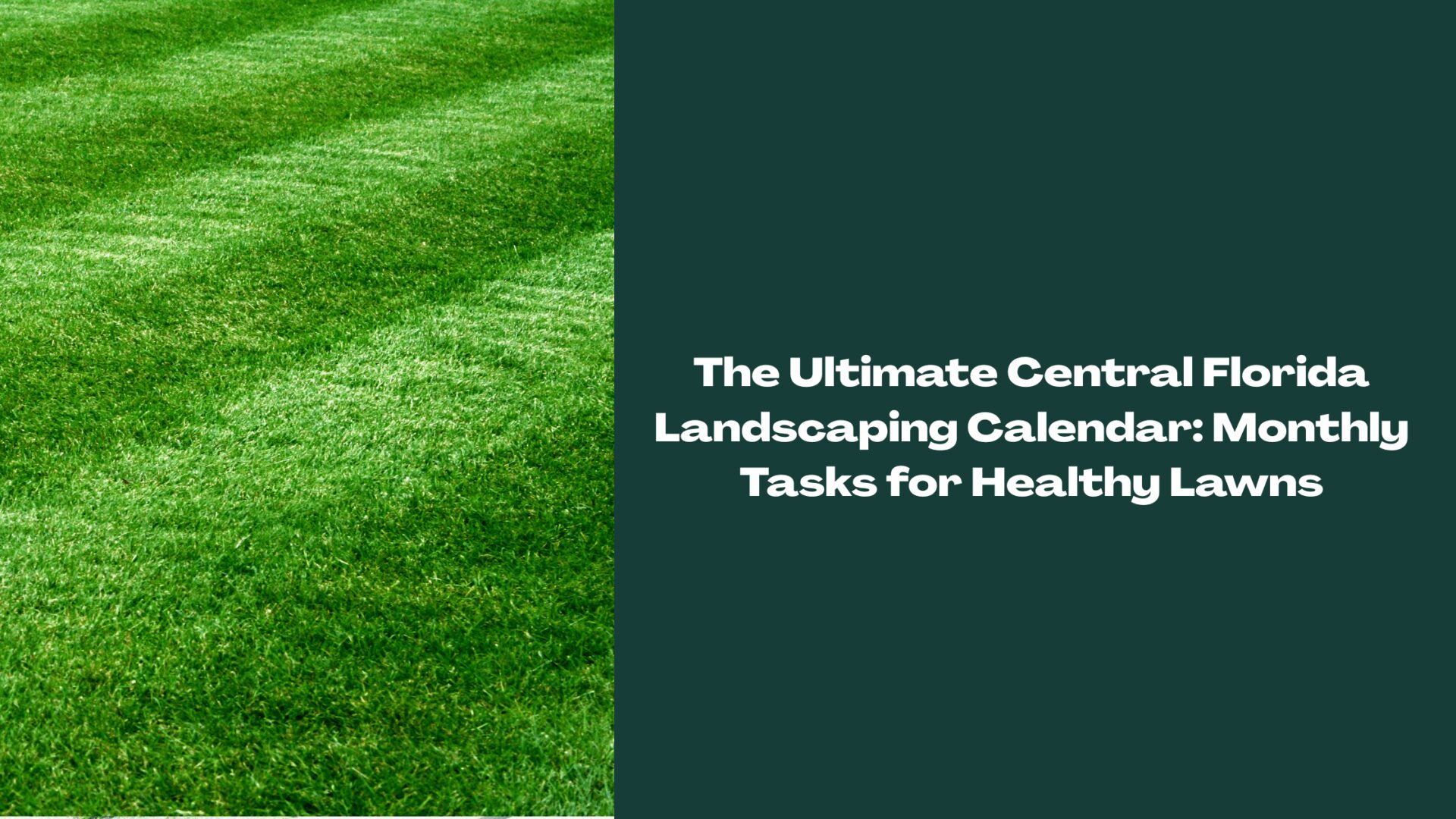 Freshly mowed green lawn in Central Florida representing year-round landscaping and monthly lawn care maintenance.