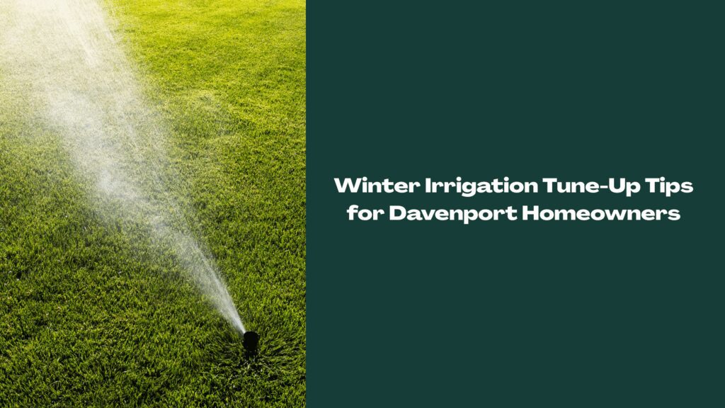 Automatic lawn sprinkler watering grass in Davenport, Florida during a winter irrigation tune-up.
