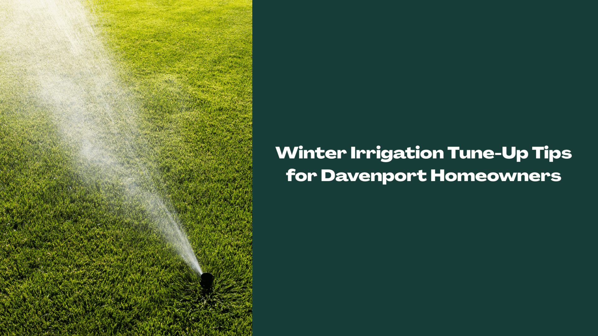 Automatic lawn sprinkler watering grass in Davenport, Florida during a winter irrigation tune-up.