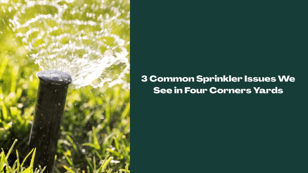 Close-up of a lawn sprinkler watering grass in Four Corners, Florida during routine sprinkler repair and maintenance.