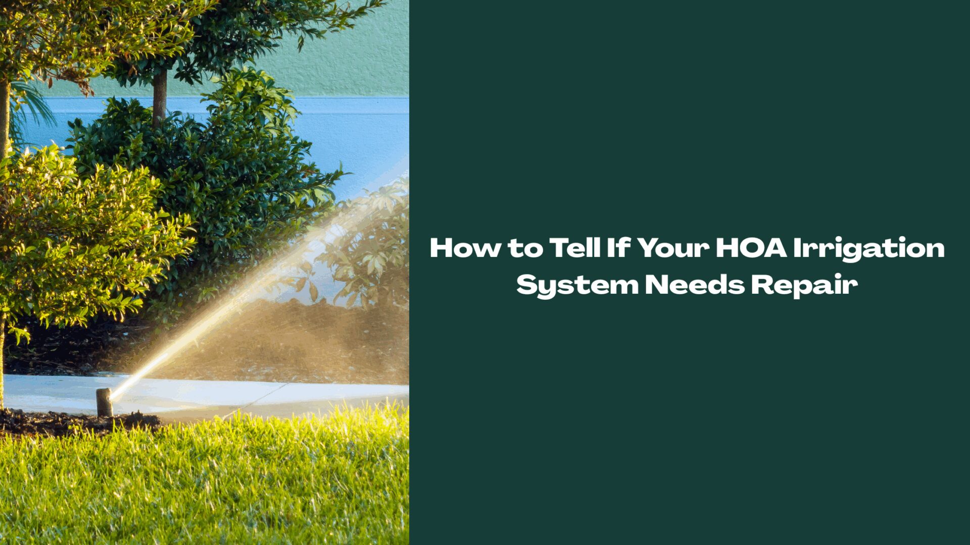 Sprinkler watering shrubs and lawn in a Central Florida HOA landscape, illustrating irrigation system maintenance.