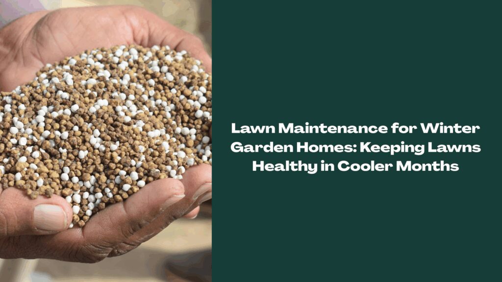 Close-up of hands holding lawn fertilizer pellets used for winter lawn maintenance in Winter Garden, Florida.
