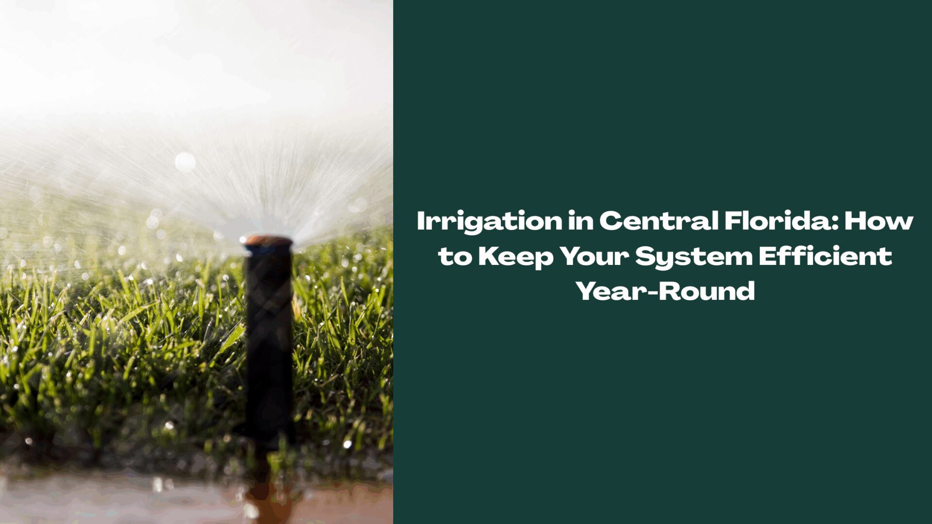 Close-up of a lawn sprinkler spraying water in a Central Florida yard, illustrating efficient irrigation systems