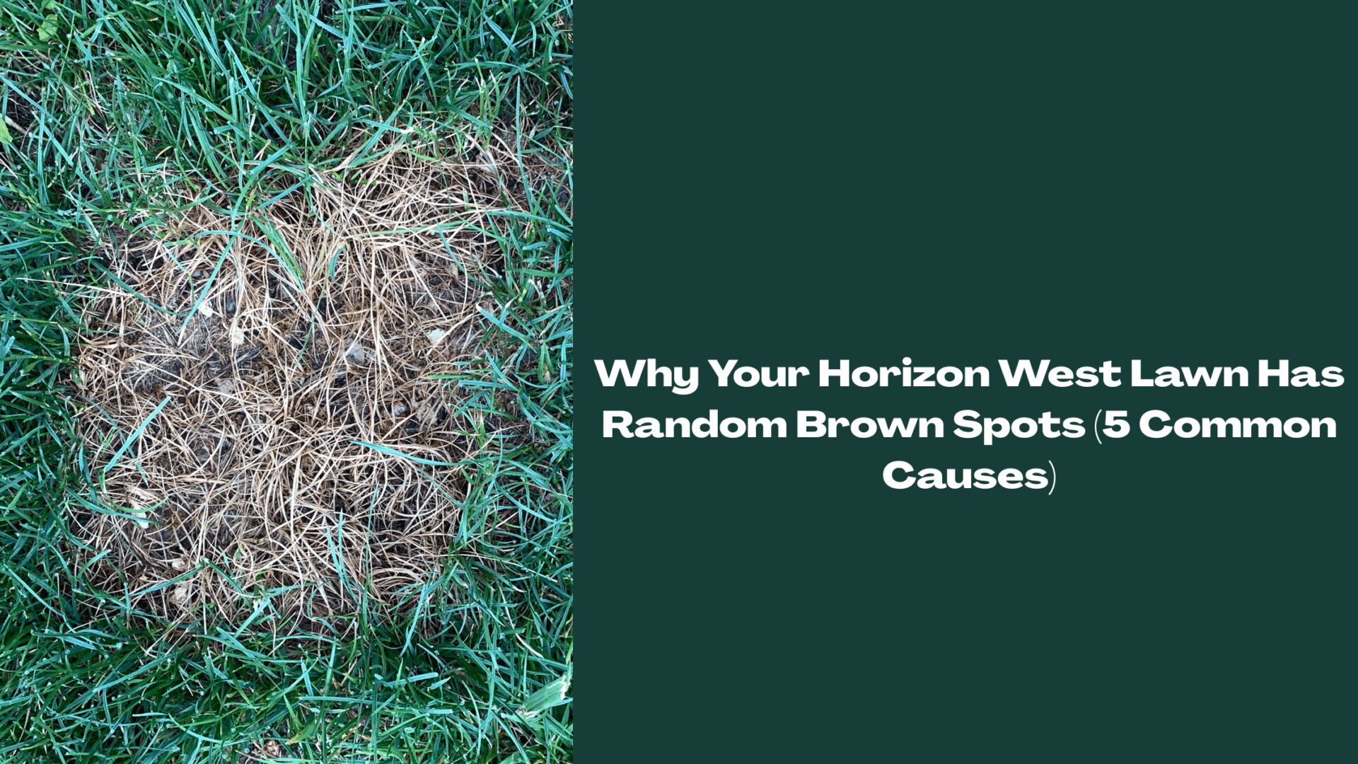 Horizon West lawn brown spots shown as a circular dead patch in green grass, with text overlay about 5 common causes of brown spots