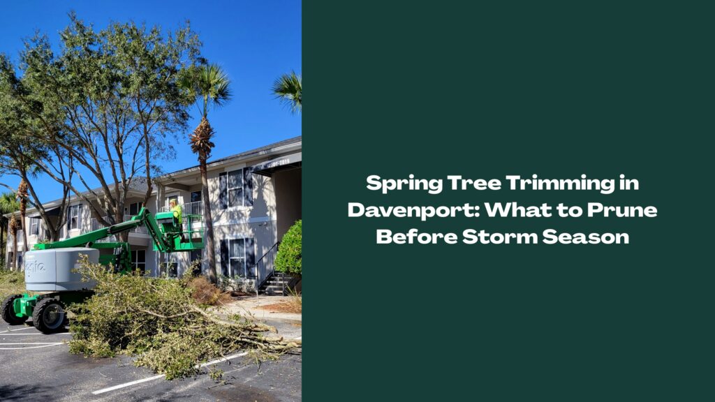 Spring tree trimming in Davenport apartment community before storm season with lift and crew pruning branches