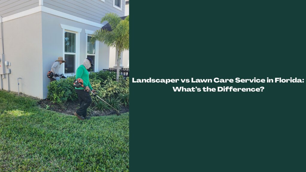 Florida landscaper edging and trimming a residential lawn and landscape beds, illustrating the difference between a landscaper and a lawn care service.