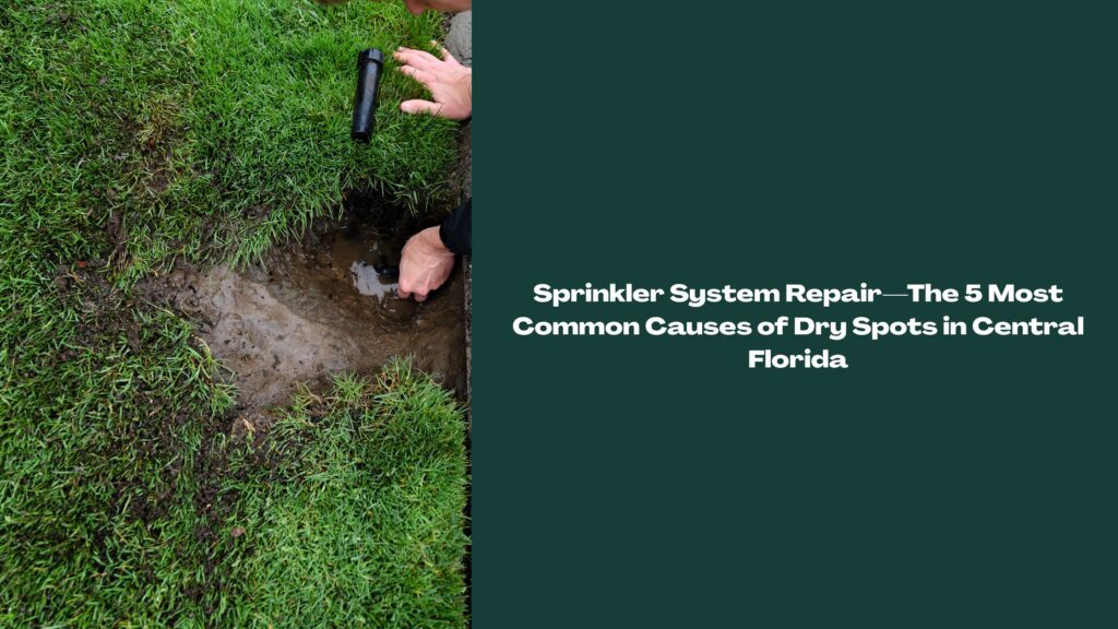 Technician repairing a sprinkler head in a Central Florida lawn to fix dry spots and restore even watering (sprinkler system repair)